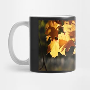 Golden Maple Leaves Mug